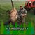 Nick Stanley's profile image