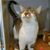 Christine Beck's profile image