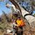 Cheryl Miller McWilliams's profile image