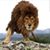 Jason Wilson's profile image