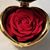 Elizabeth Groce Hernandez's profile image