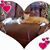 Michelle Milita's profile image