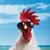 Cameron Fugal's profile image