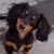 Barbara Beiler's profile image