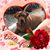 Sue Saettele's profile image