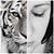 Teri McCluer's profile image