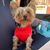 Myzy Castillo's profile image