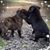 Shelly Conner's profile image