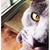 Barbara Steiman's profile image