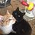 Kristin Asbury Rich's profile image