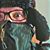 Jamie Molitor's profile image