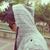 Ahmet Dursun's profile image