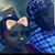 Demetrius Stallworth's profile image