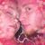 Jennifer Rogers's profile image
