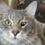 Charles Calhoun's profile image