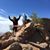 Linda Heckert Grabowski's profile image