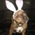Darcy Minkler's profile image