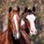 Kristin Forst Griffin's profile image
