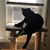 Tracy Quinto's profile image