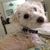 Debbie Noyes's profile image