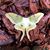 Natasha Sussman's profile image