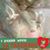 Letitia Rohr's profile image