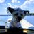 Suzanne Vest's profile image