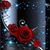Cassie Courtright's profile image