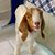 Dale Millar's profile image