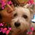 Elsa Peralta's profile image