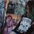 Anastasia Haigh's profile image