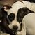 Paula Jean Davis's profile image