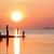 Trish Crawson's profile image