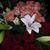 Patrick N Anne Lease's profile image