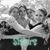 Ann Runge Synoground's profile image