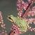 Frogger Becker's profile image