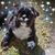 Rebecca Lynn Braun-Chouinard's profile image