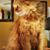 Victoria Clarke-Payton's profile image