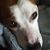 Debra Ann Northrup's profile image