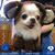 Karren Coffey's profile image