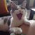 Jennifer Arnold's profile image