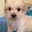 JK's profile image