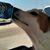 Scott Wilbanks's profile image