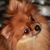 Sonia Velez's profile image