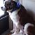 Wendy Fox's profile image