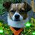 Susanne Aus Fischtown's profile image