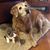 Jan Moore Bavousett's profile image