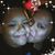 Elizabeth Ortega's profile image