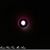 Mohamed Mous's profile image