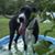 Tammy Barr's profile image